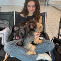 Angel Flights Reliable Pet Nannies - Nationwide