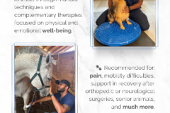 Request Quote: Grigio Animal Wellness | In-Home Pet Mobility Care - Winter Garden, FL