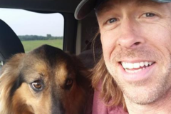 Request Quote: Steadfast Pet Transport  - Nationwide