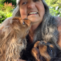 Providing High Level Care Pet Sitting - Occidental, CA