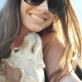 Animal Lover & Safe, Reliable Transport - Nationwide