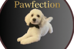 Request Quote: Pawfection - Mobile Dog Groomer - Amite City, LA