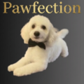 Pawfection - Mobile Dog Groomer - Amite City, LA
