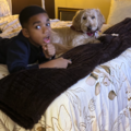 Pet Grief Loss Support and Therapy - Nationwide