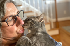 Request Quote: Animal Communication, Mediumship, and Energy Healing - Nationwide