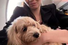 Request Quote: Certified Professional Flight Nanny - Nationwide