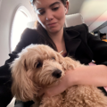 Certified Professional Flight Nanny - Nationwide