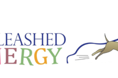 Request Quote: Bio-Resonance Testing - Aspen Park, CO