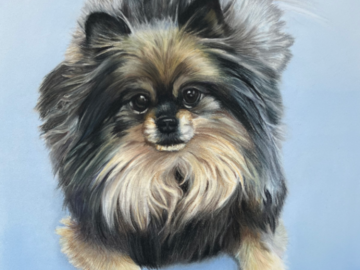 Pastel Portrait of Maro, Pomeranian