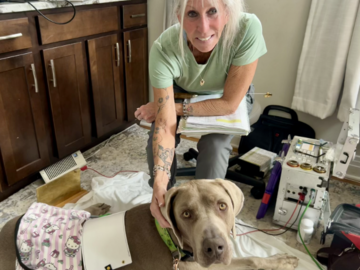 Bodhi and I hard at work