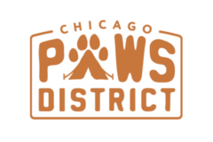 Request Quote: Chicago Paws District - Dog Daycare - Chicago, IL