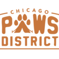 Chicago Paws District - Dog Daycare - Chicago, IL