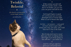 Request Quote: Support Before and After Loss of Your Beloved Pet - Nationwide