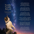 Support Before and After Loss of Your Beloved Pet - Nationwide