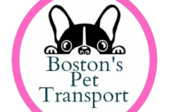 Request Quote: Boston's Pet Transport - Nationwide
