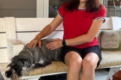 Request Quote: Harmony Touch Reiki for Pets - Nationwide