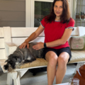 Harmony Touch Reiki for Pets - Nationwide