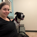 Flight Nanny With 12 Years Professional Animal Handling - Nationwide