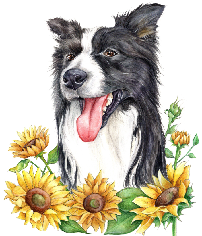 Sebago, ME - Pet Portraits by Brenda McGuinness