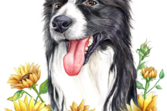 Request Quote: Pet Portraits by Brenda McGuinness - Sebago, ME