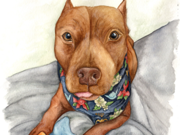 small brown dog