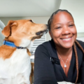 Safe Reliable Worry-Free Pet Taxi Rides - Richmond, TX