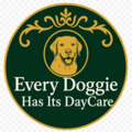 Dog Boarding & Daycare Peoria, AZ
