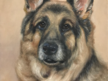 pet portrait