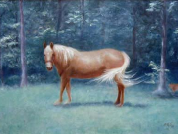 horse in a field