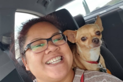 Request Quote: Your Pet's Second Family - Nationwide
