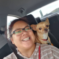 Your Pet's Second Family | Flight Nanny - Nationwide