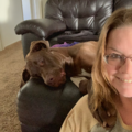 Pet Psychic Medium and Animal Communicator - Nationwide