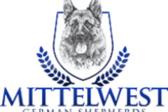 Request Quote: Mittelwest German Shepherds - Wonder Lake, IL
