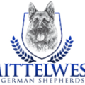Mittelwest German Shepherds - Wonder Lake, IL