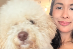 Request Quote: Trusted Pet Travel Companion - Transport Nanny - Nationwide