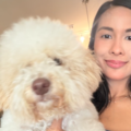 Trusted Pet Travel Companion - Transport Nanny - Nationwide
