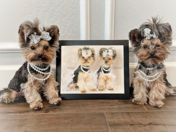 custom pet portrait 