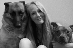 Request Quote: Pet Transportation - Nationwide