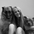 Pet Transportation - Nationwide