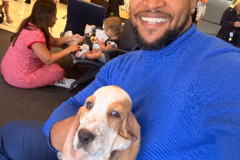 Request Quote: Glided Hope Pet Flight Nanny  - Nationwide