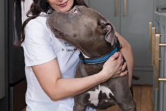 Request Quote: Pharmacist |  Canine Nutrition Specialist - Nationwide
