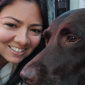 Adventurous Animal Lover - Pet Flight Nanny - Nationwide
