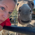 Inkie The Guided One - Animal Communicator | Healer - Bellmawr, NJ
