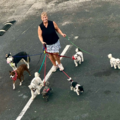 Experienced Pet Travel Companion - Flight Nanny - Nationwide