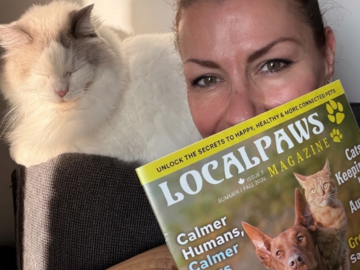 Our latest publication collab