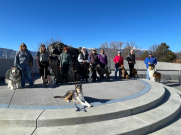 Group Dog Training Class 