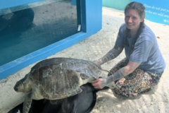 Request Quote: Animal Communication and Energy Healing - Surf City, NC