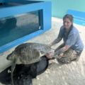 Animal Communication and Energy Healing - Nationwide
