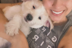 Request Quote: Eat Play Love - Dog Walking | Pet Sitting - North Las Vegas, NV
