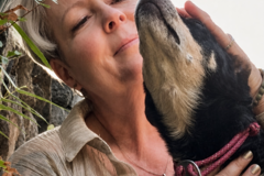 Request Quote: Presence Without Proximity - Animal Reiki - Nationwide